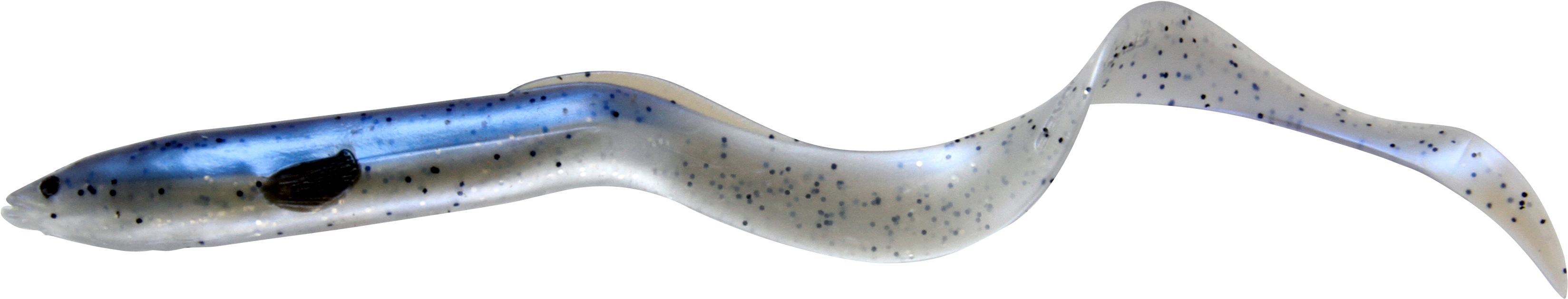 Glass Eel Transparent Background PNG