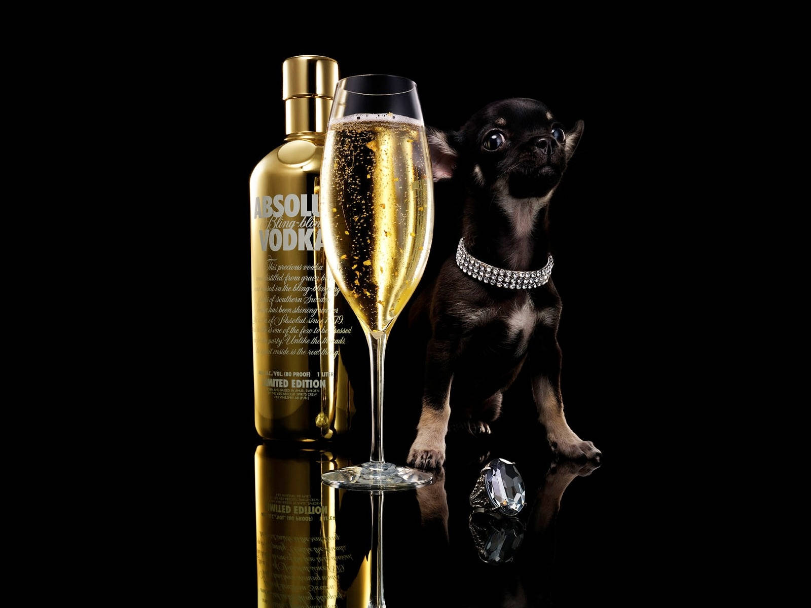 Glass Of Absolut Bling Blong Vodka With Chihuahua Wallpaper