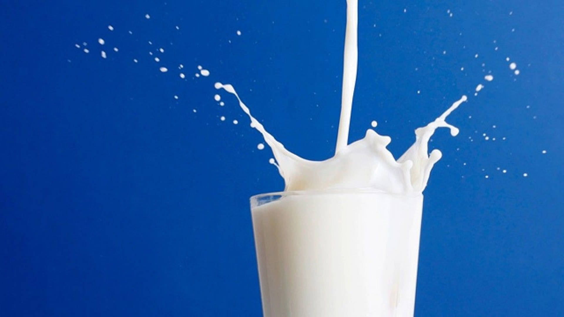 Mælk 2850 X 1603 Wallpaper