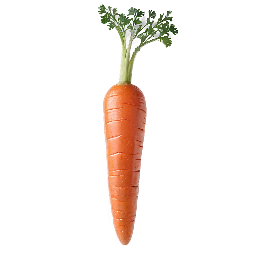 Glazed Carrot Png Qtd PNG