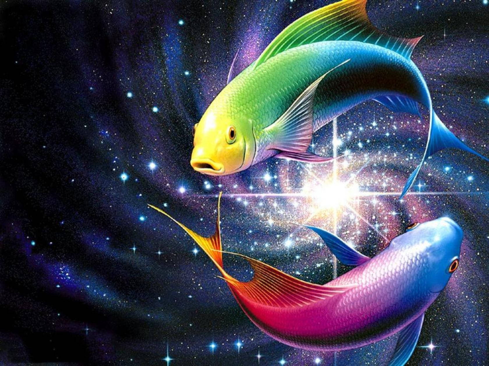 A Bright and Sparkly Rainbow Fish Wallpaper