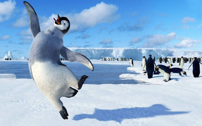 a penguin is jumping in the snow Wallpaper