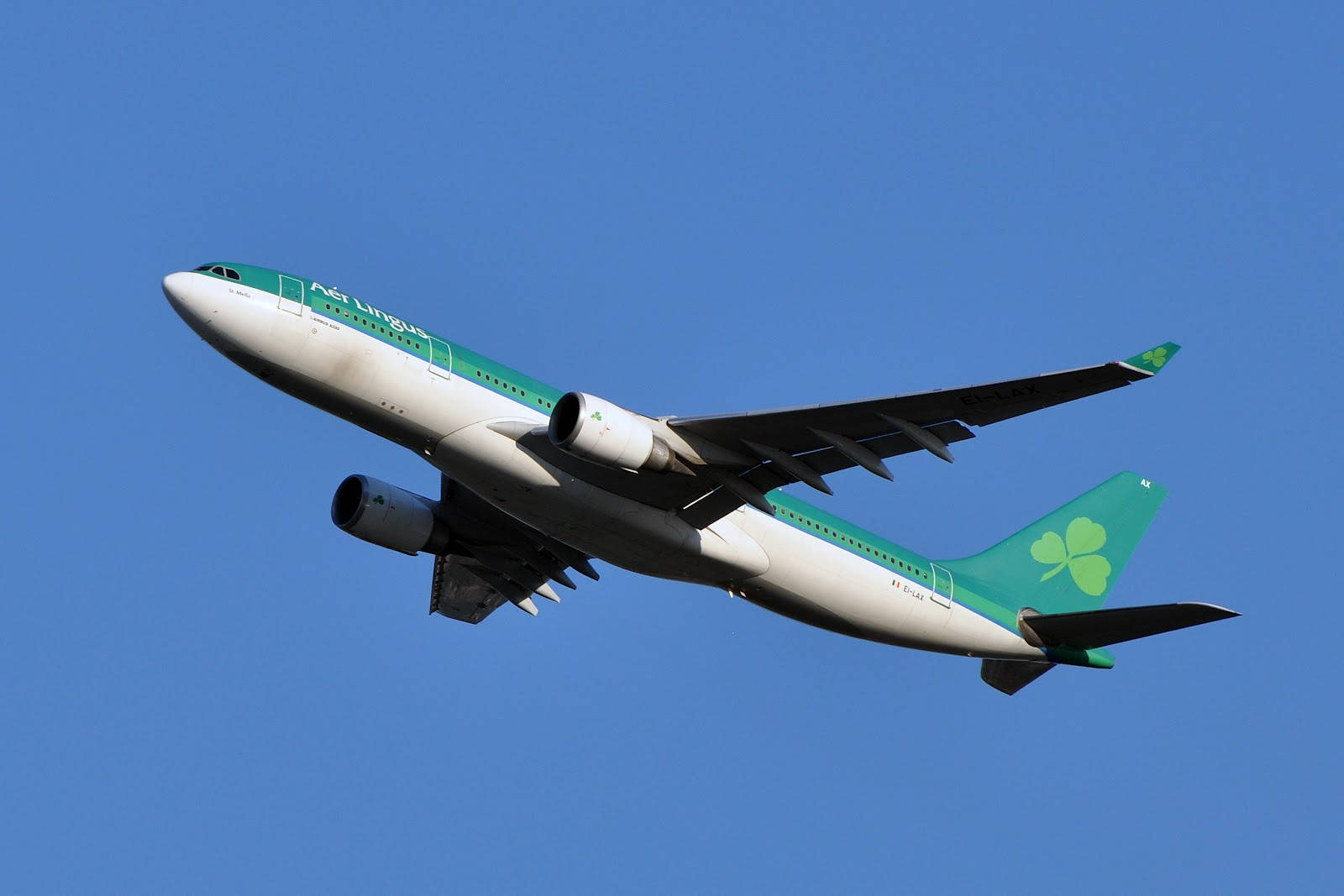 Gliding Aer Lingus Airplane Picture