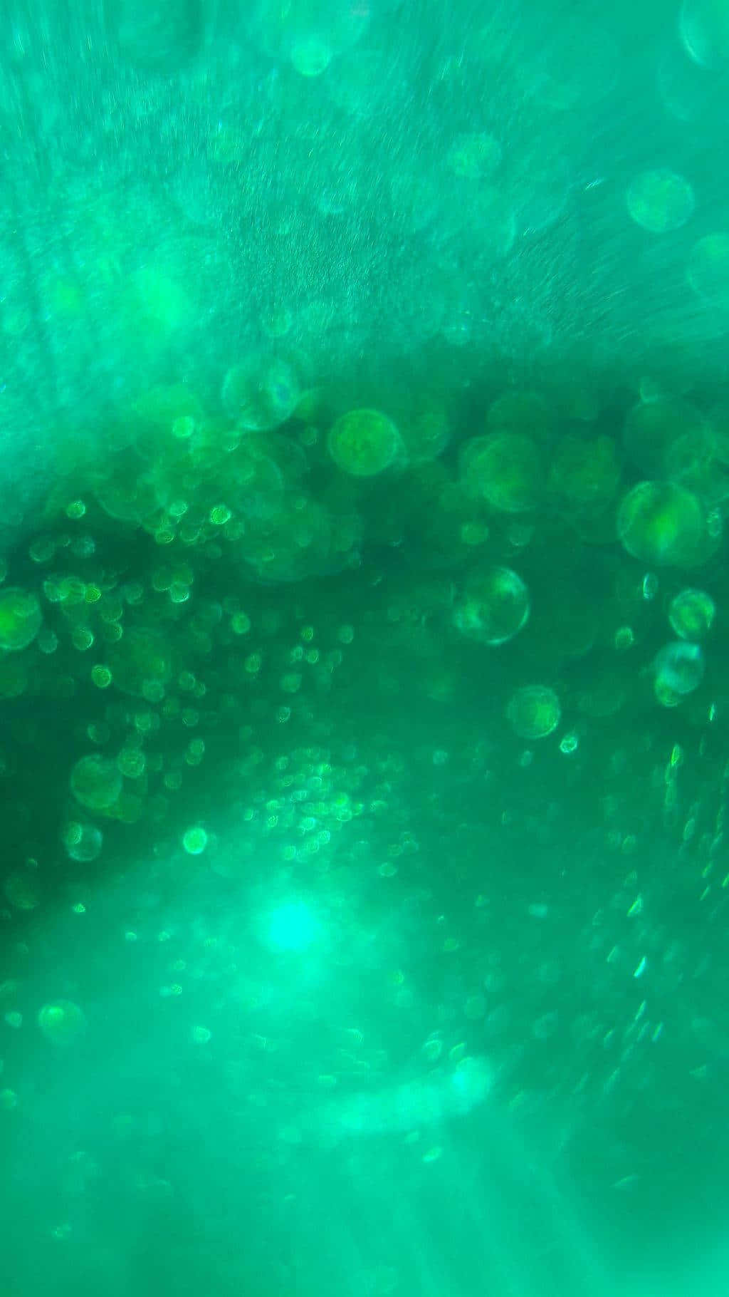 Unterwasserquallenim Ozean Wallpaper