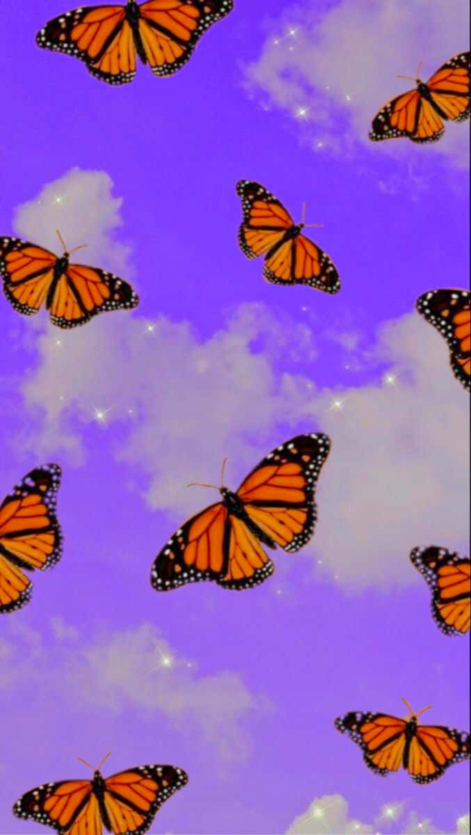 Entdeckeden Zauber Eines Glitzernden Schmetterlings Wallpaper