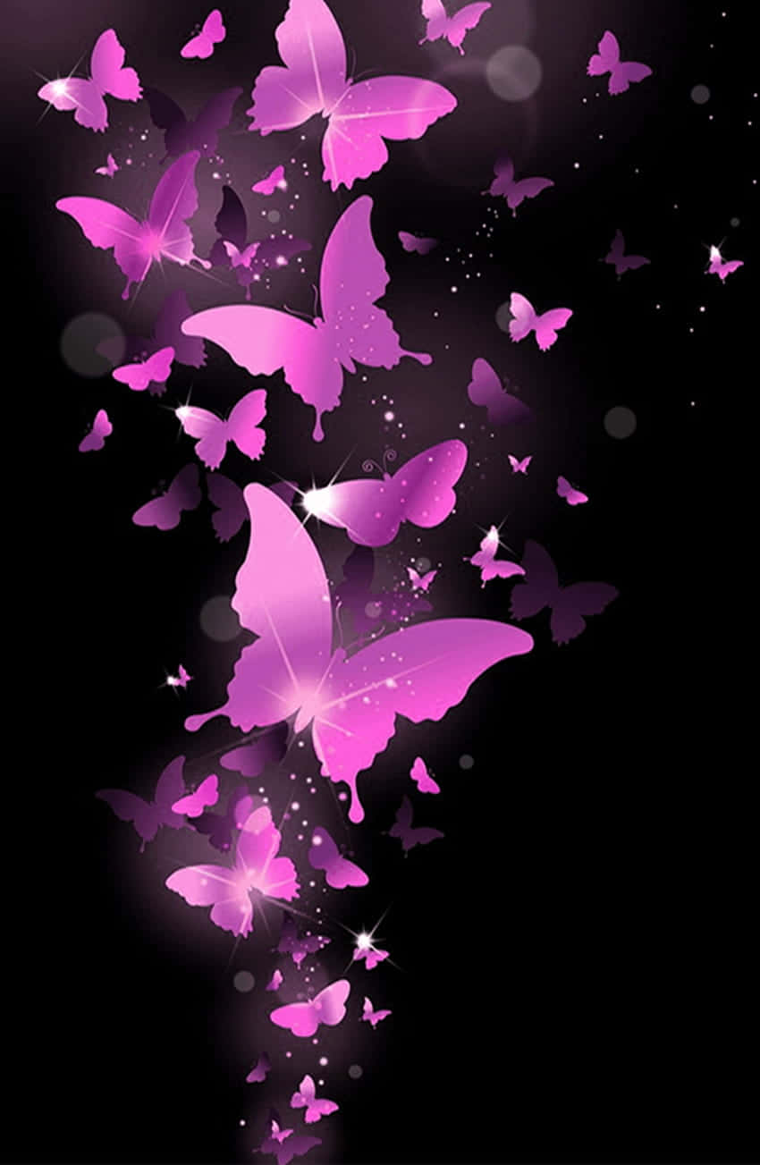 Borboletascor-de-rosa Voando No Céu Em Um Fundo Preto. Papel de Parede