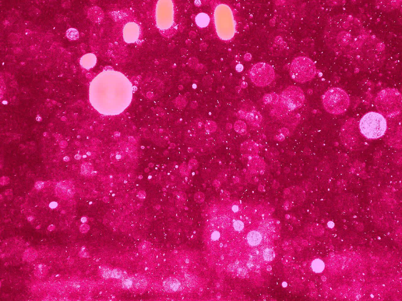 Glitter Hot Pink Bokeh Lights Background