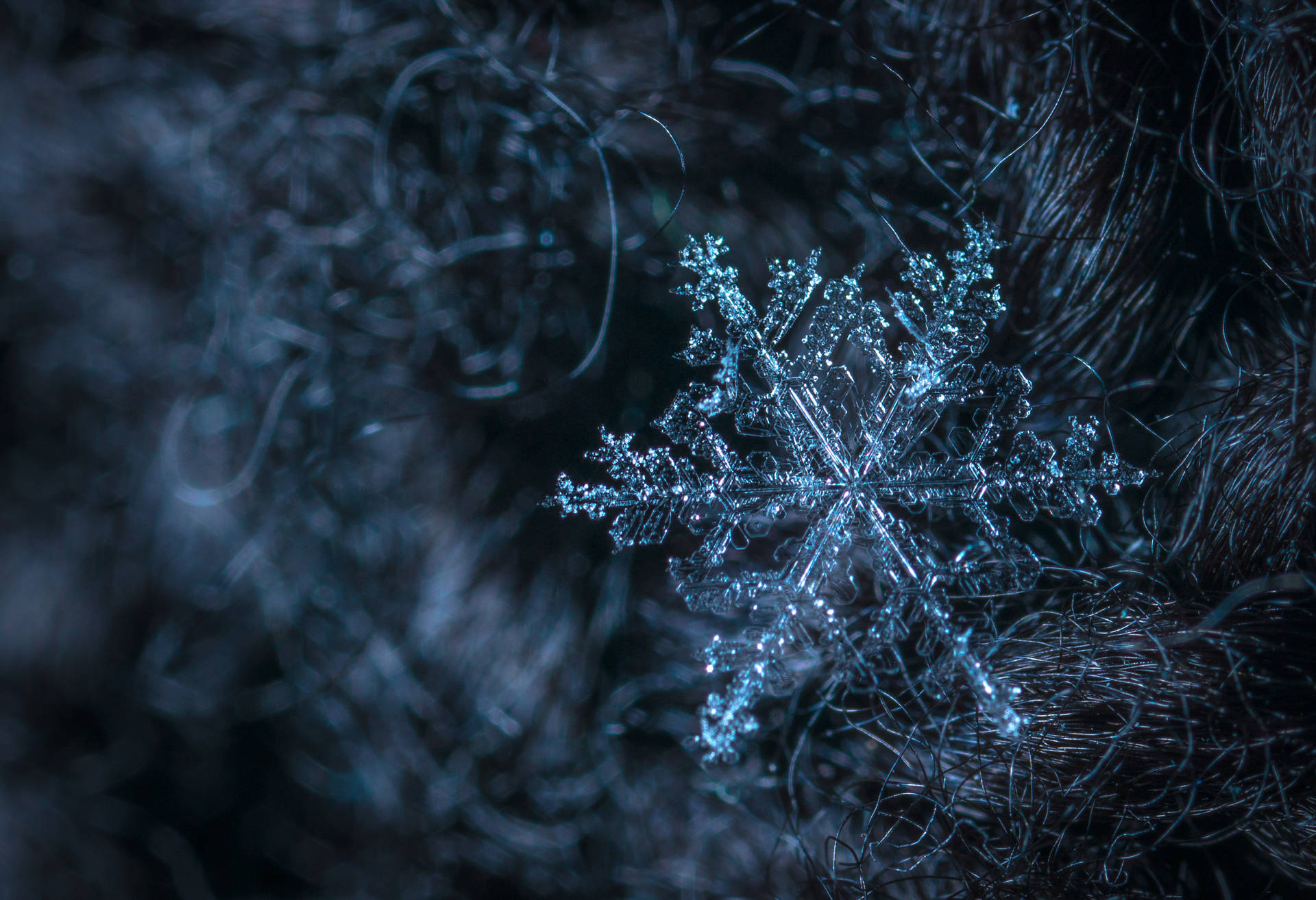 Glittering Ice Snowflake