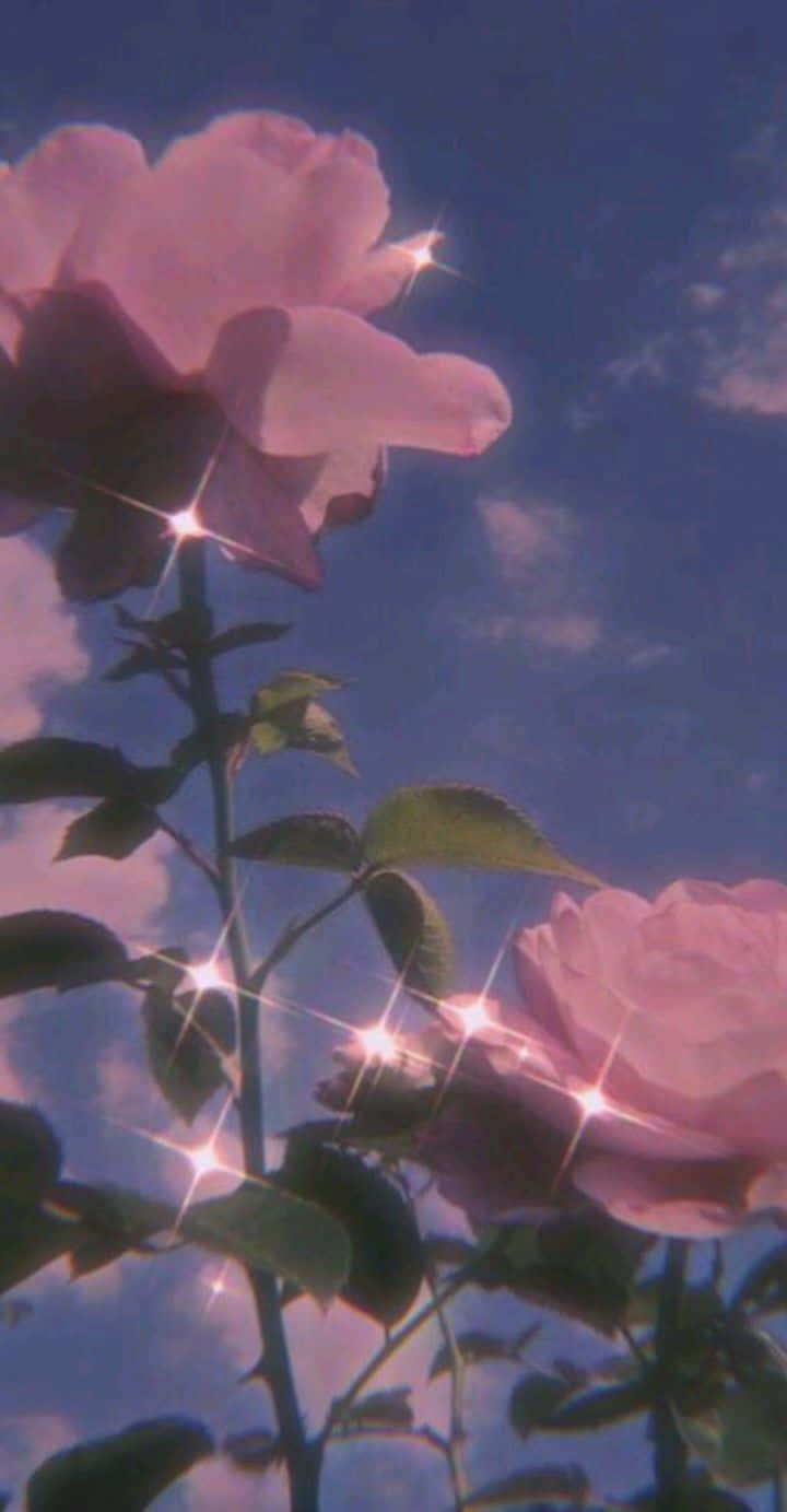 Glittering Rose Against Blue Sky Wallpaper