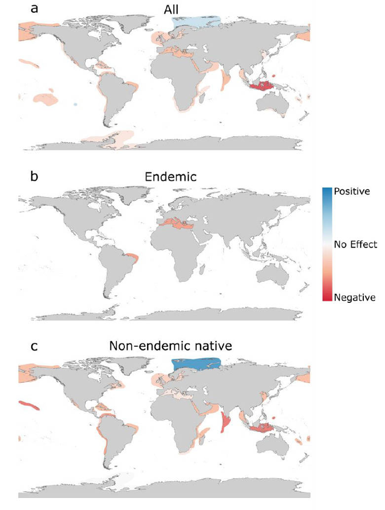 Infograficasull'endemia Globale. Sfondo