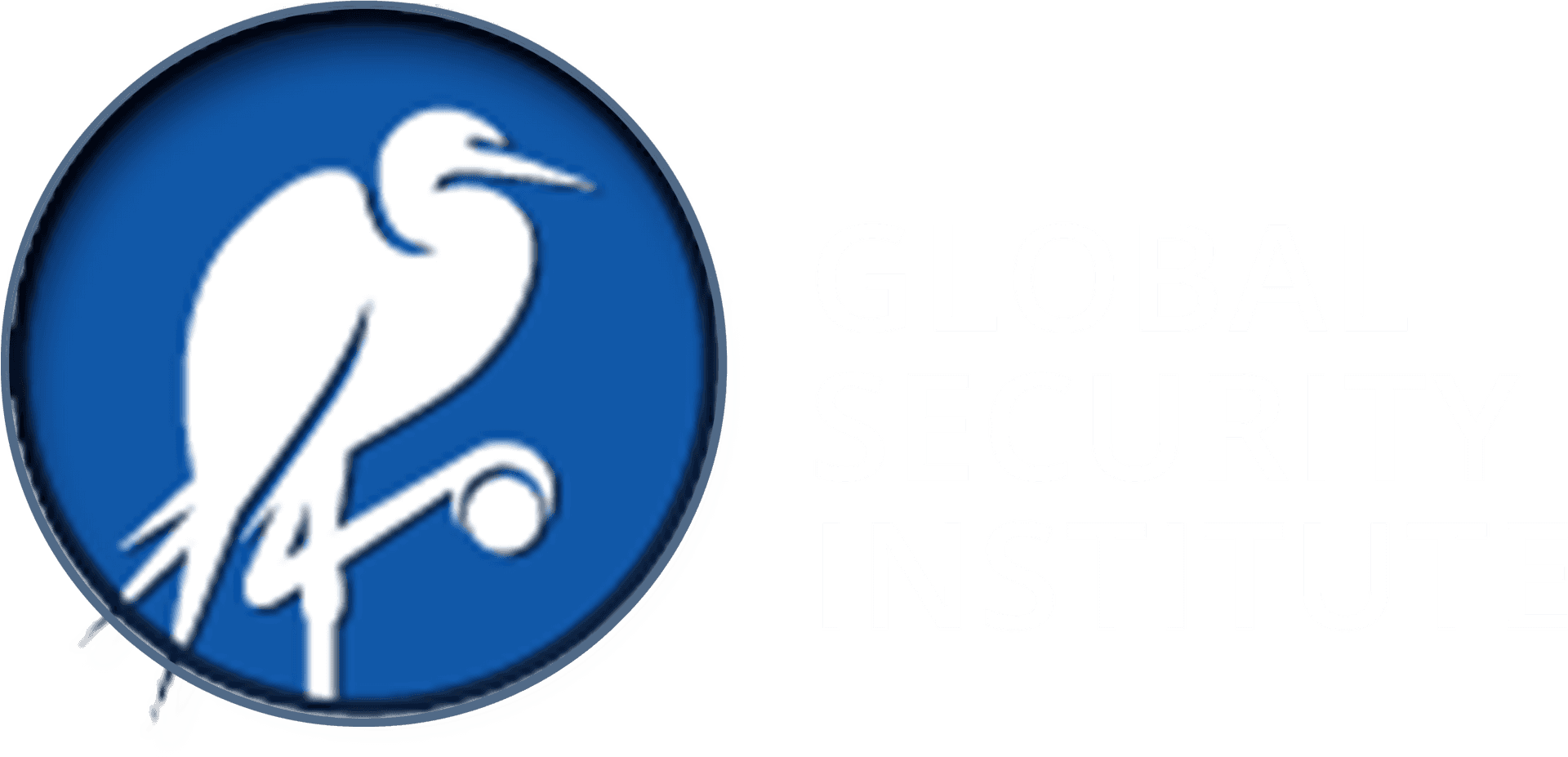 Global Security Institute Logo PNG