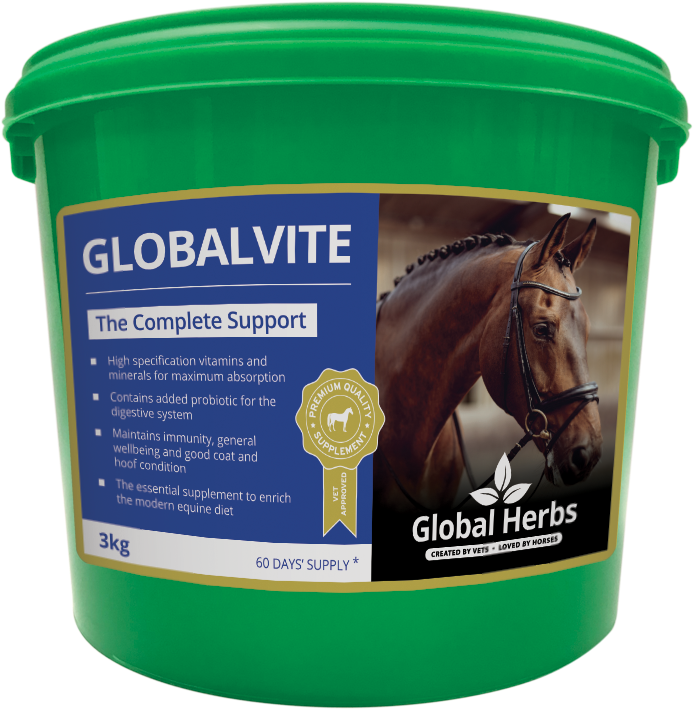 Global Vite Horse Supplement Bucket PNG