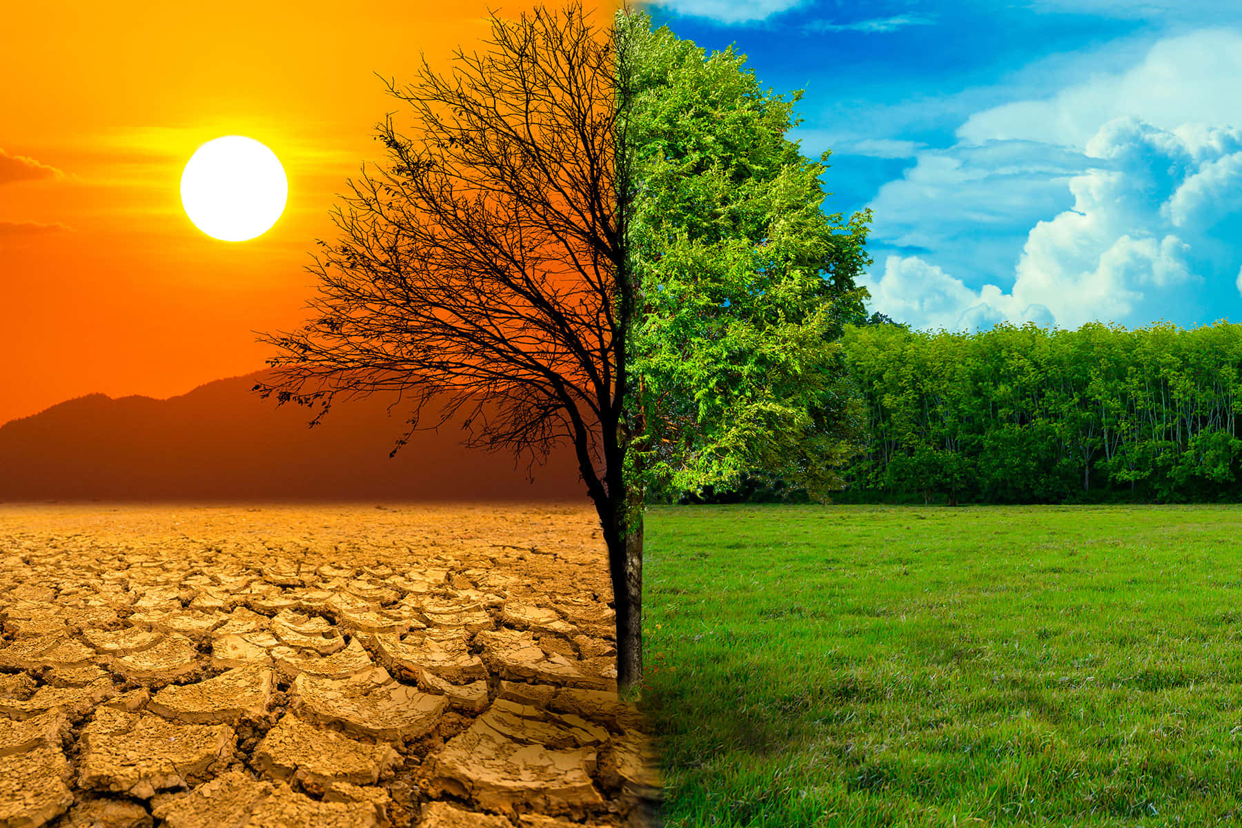 Global Warming Background Images, HD Pictures and Wallpaper For Free  Download | Pngtree