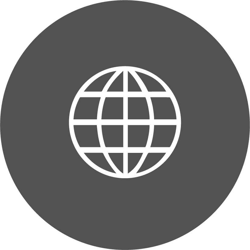 Global Web Icon PNG