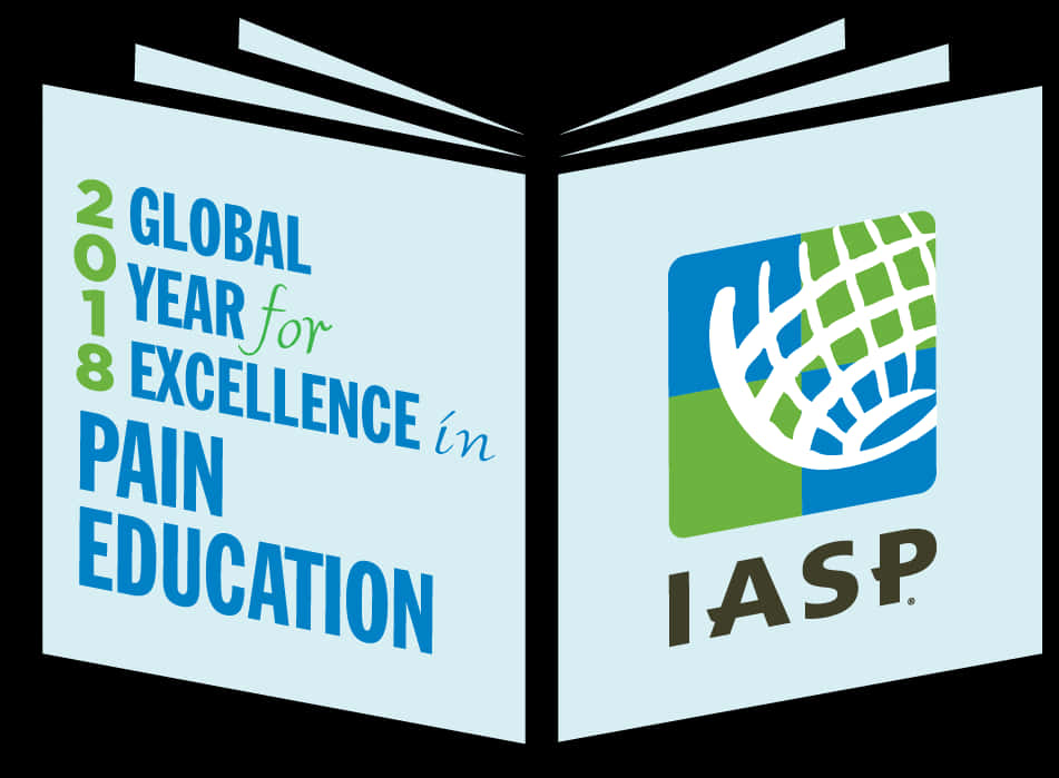 Global Year Excellence Pain Education Logo PNG