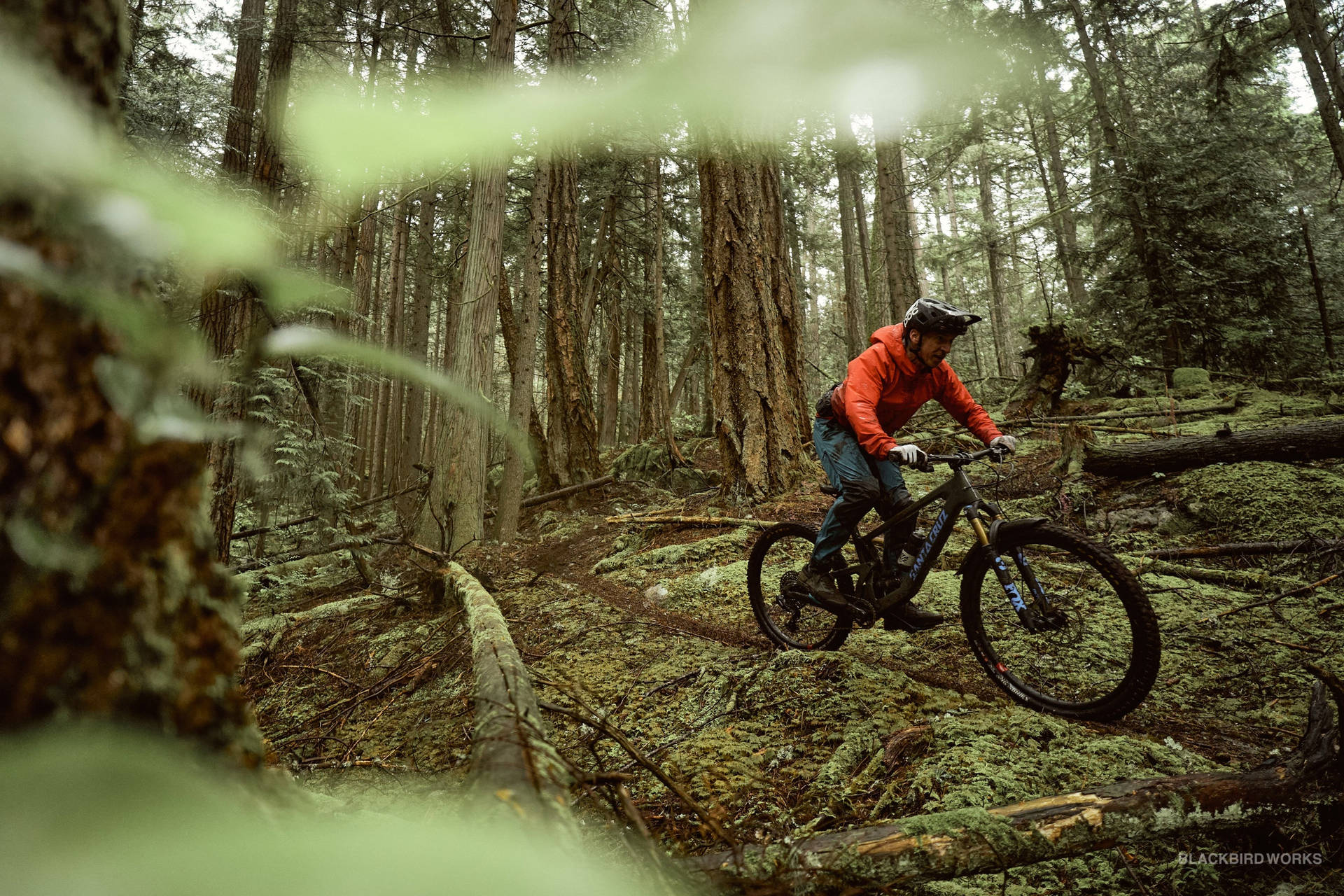 Gloomy 4k Mountain Bike Ride In Forest Background