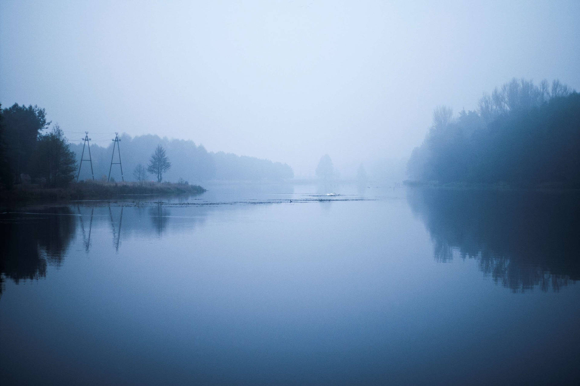 Gloomy And Foggy Forested Riverside Wallpaper
