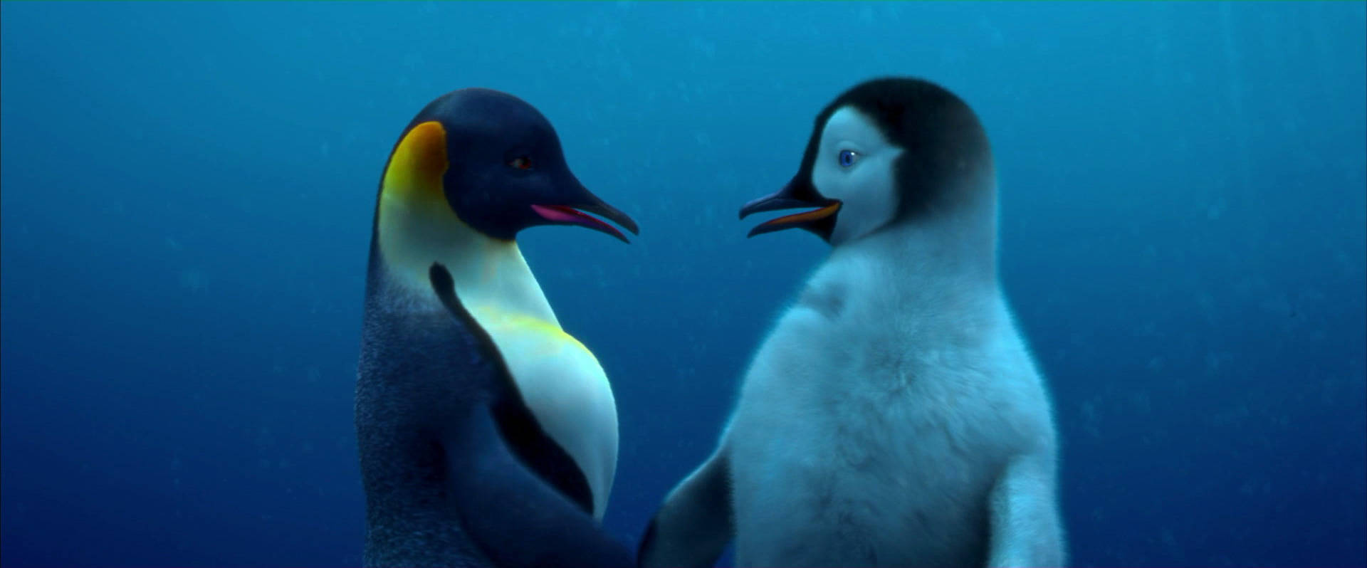 Two Penguins Are Standing Next To Each Other Wallpaper