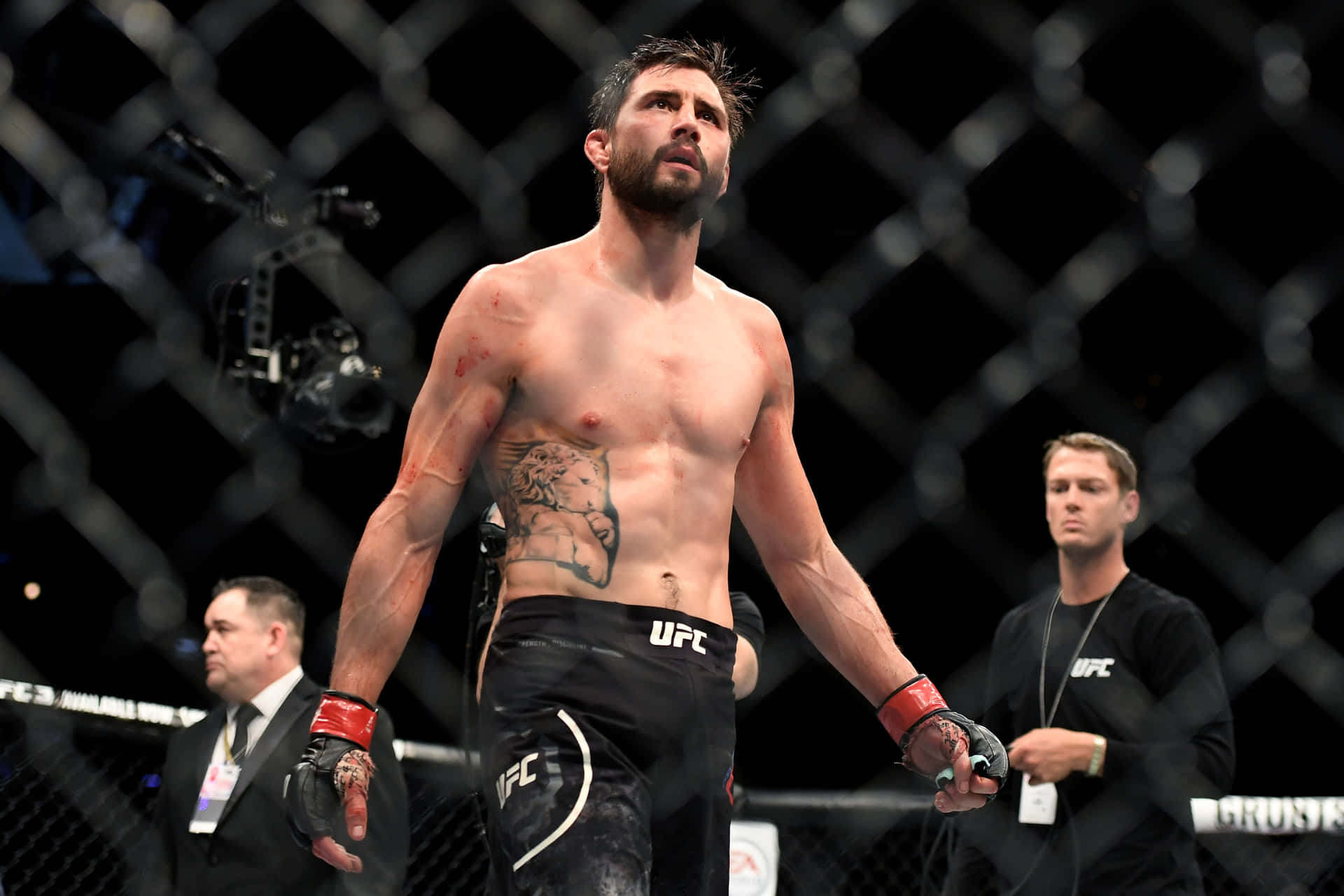 Glorifying Ufc Fighter Carlos Condit Picture