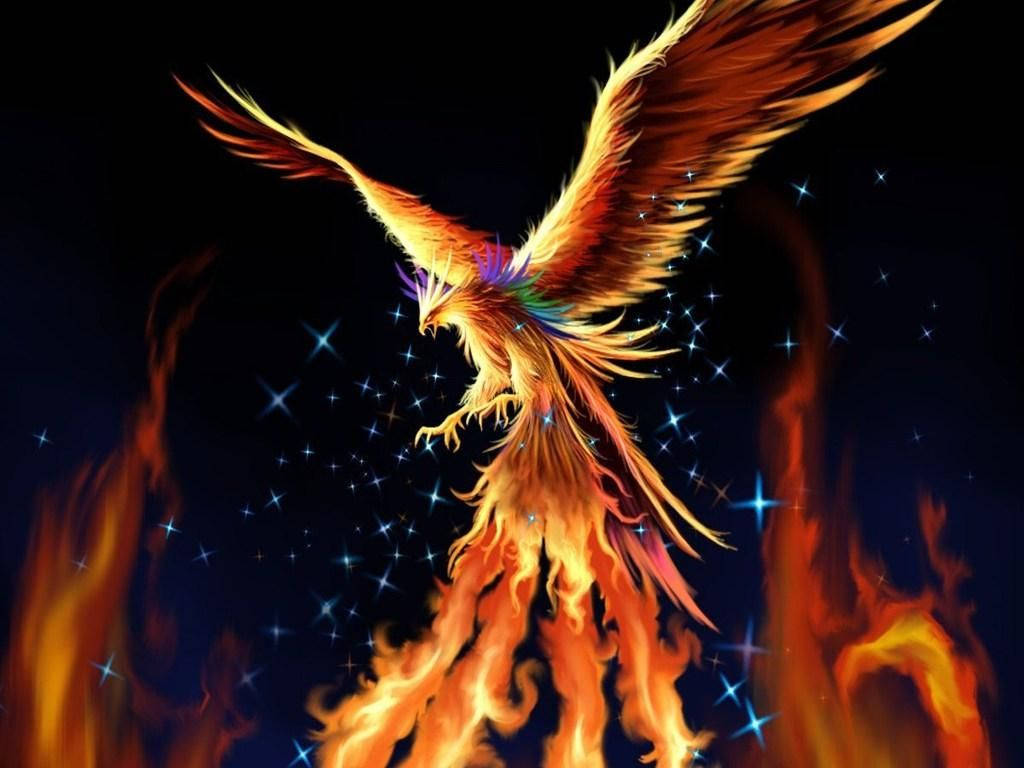 Glorious Phoenix Fire Wings Wallpaper