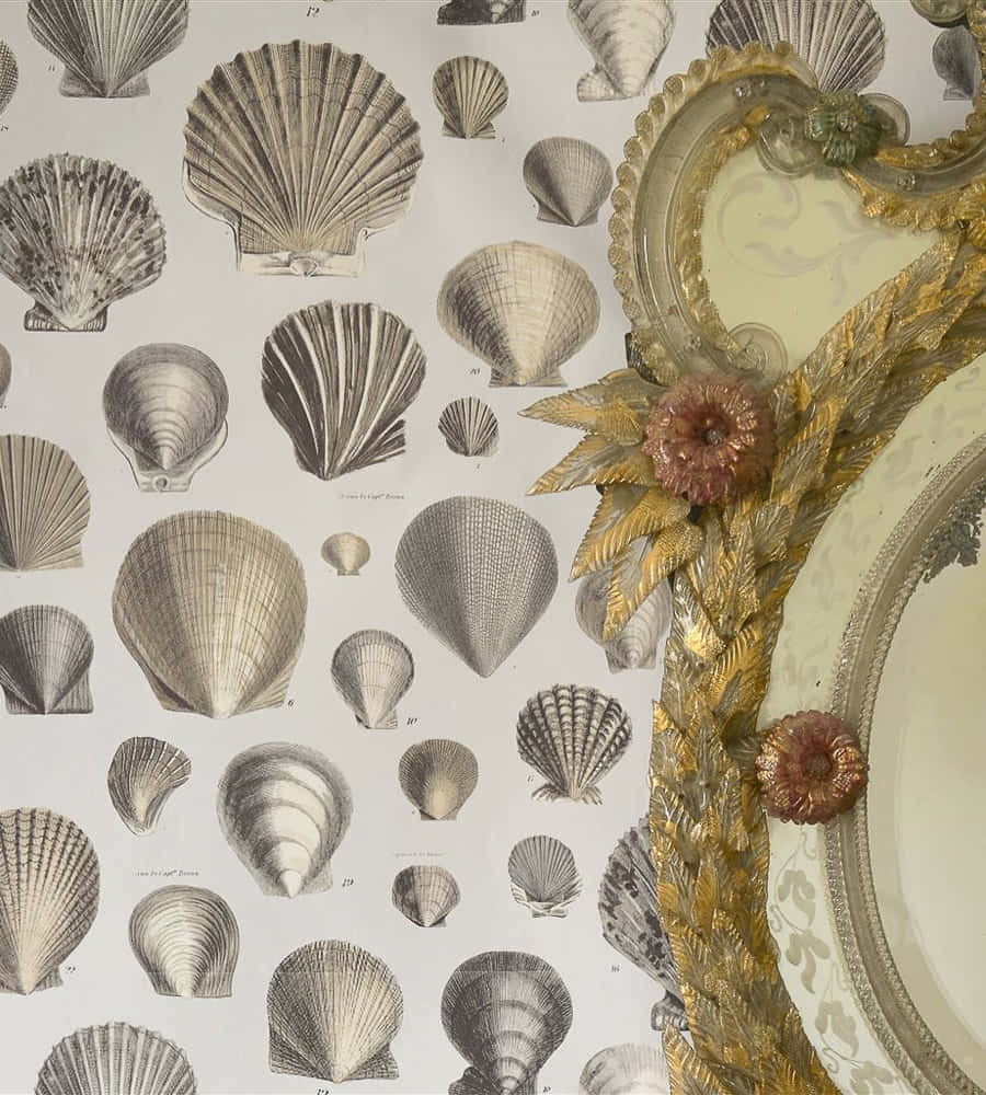 Glossy Seashells Aesthetic Art Background