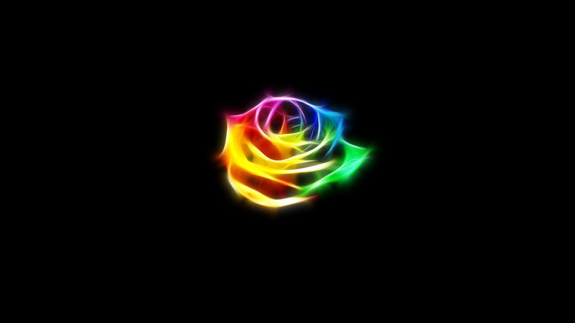 A Rainbow Rose On A Black Background