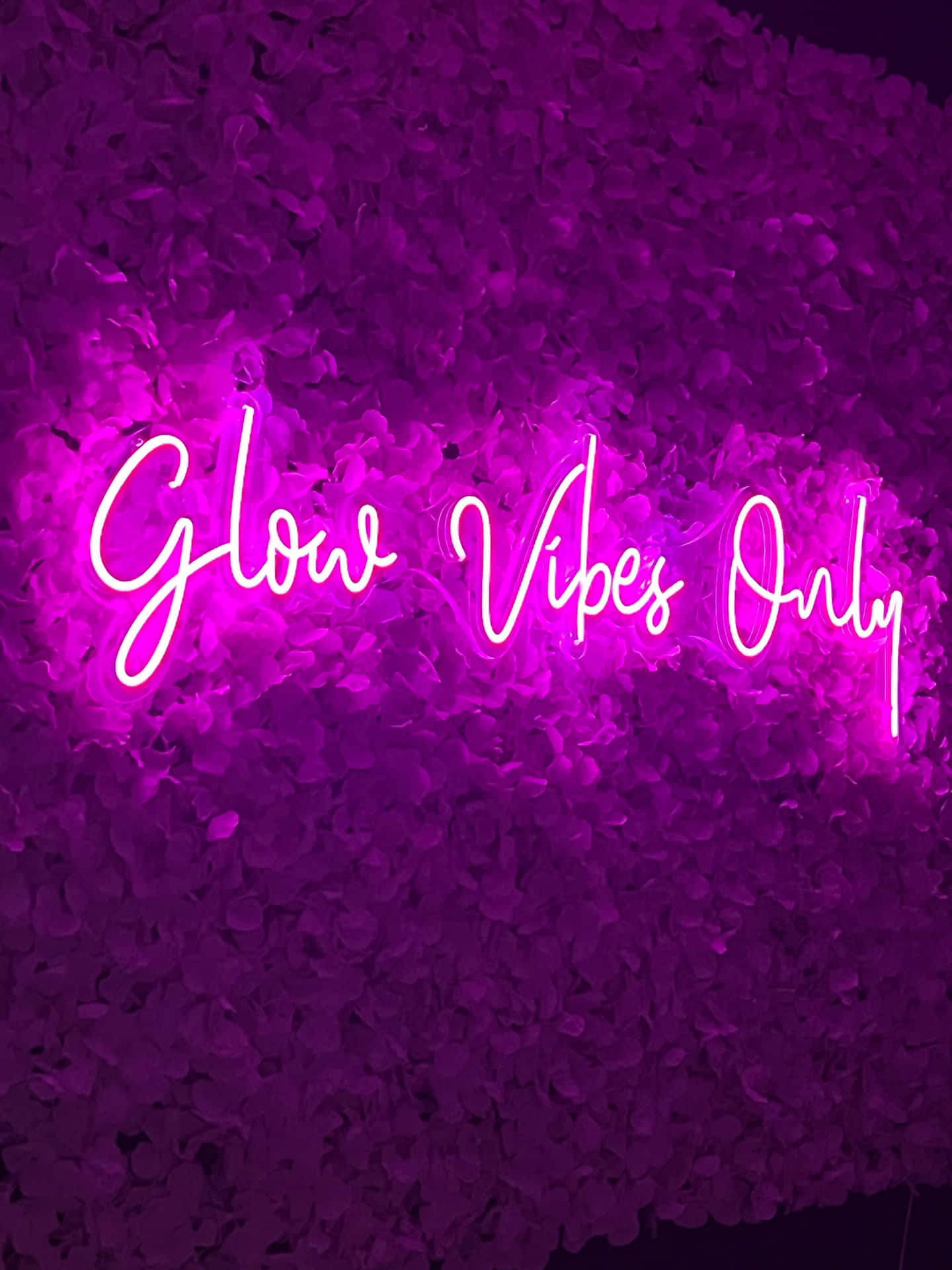 Glow Vibes Only Neon Sign Wallpaper