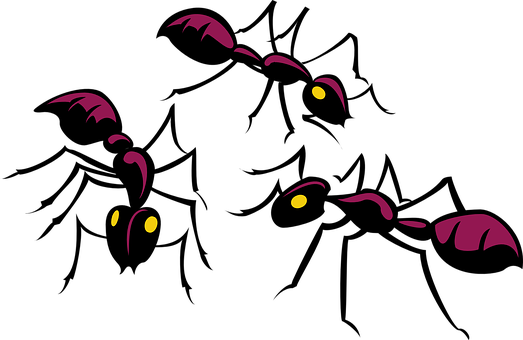 Glowing Ants Silhouette PNG