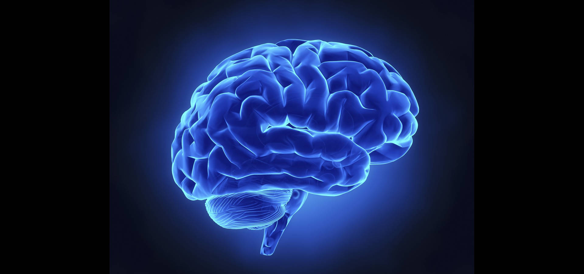 Glowing Blue Brain Cerebral Desktop Wallpaper