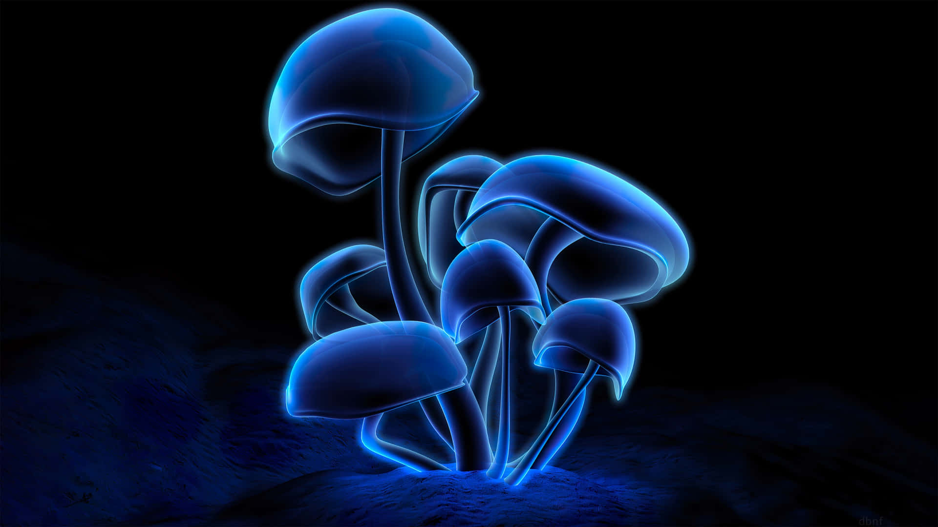 Glowing Blue Mushrooms Artwork Wallpaper