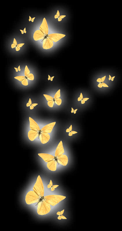 Glowing Butterflies Black Background PNG