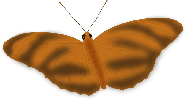 Glowing Butterfly Silhouette PNG