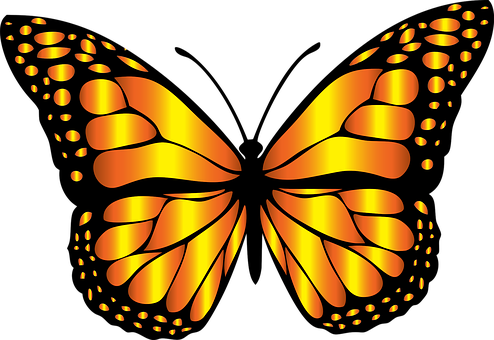 Glowing Butterfly Vector Art PNG