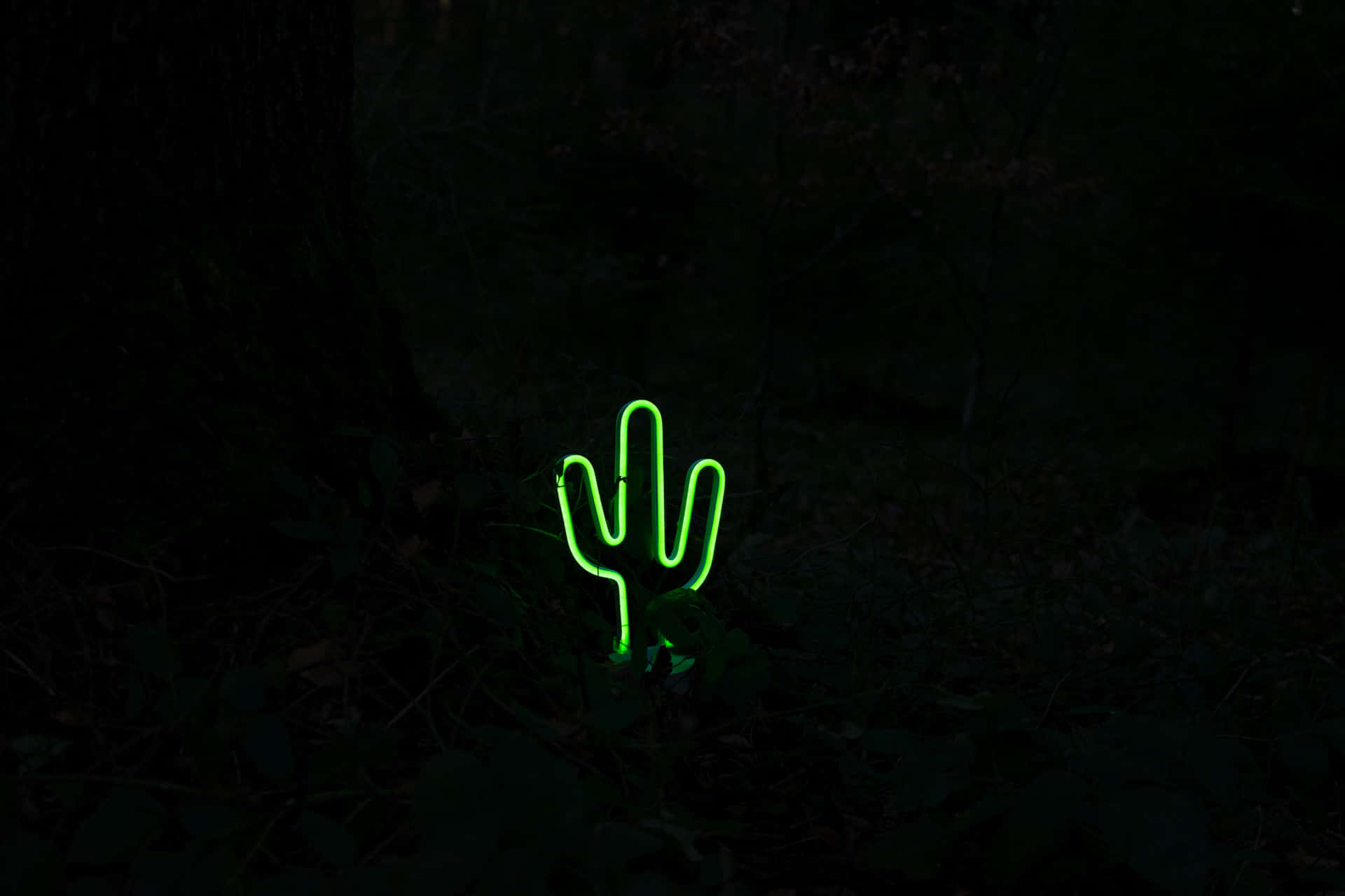 Glowing Cactus Neon Signin Dark Forest.jpg Wallpaper
