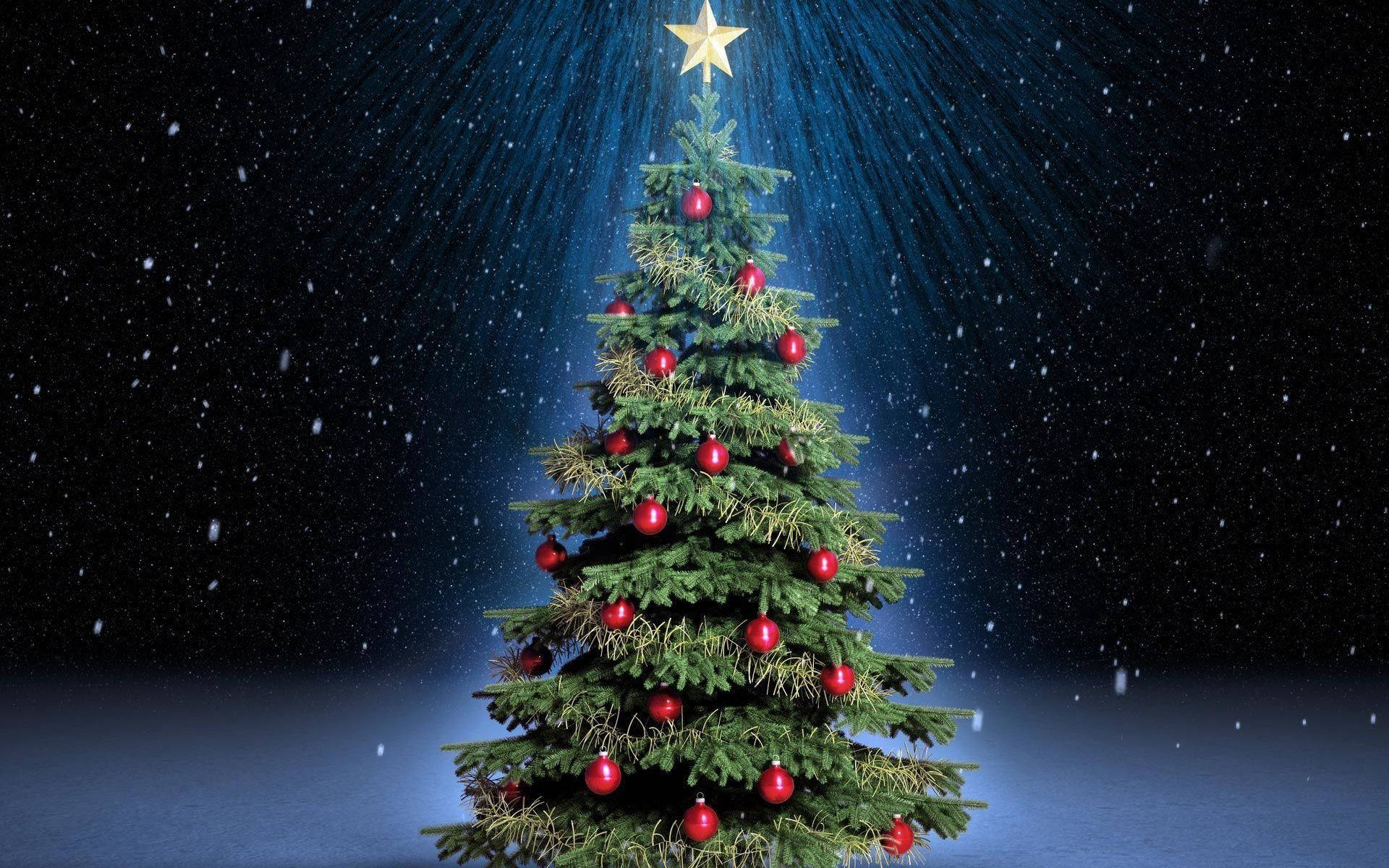 Glowing Christmas Tree Under Starry Sky