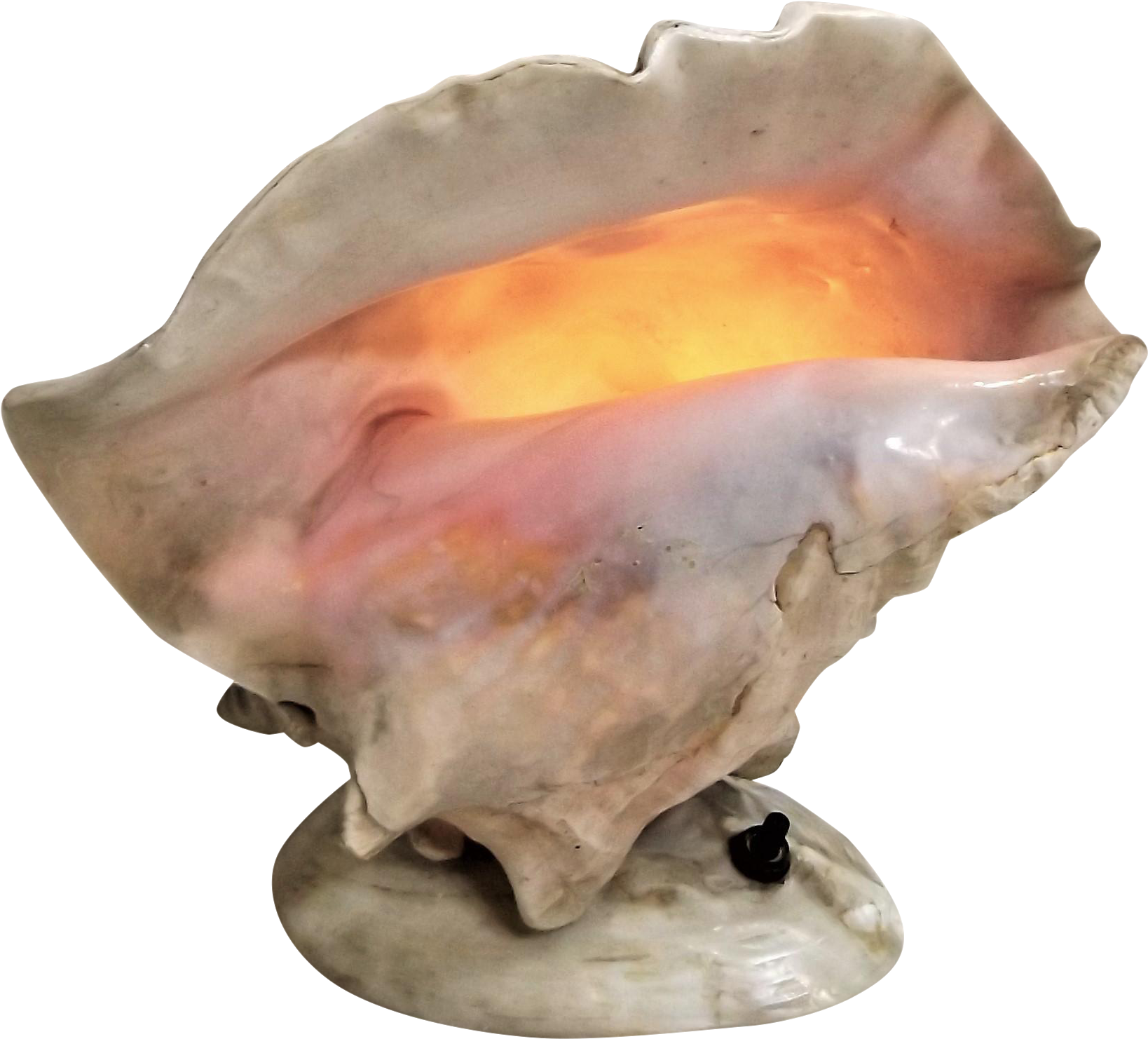 Glowing Conch Shell PNG