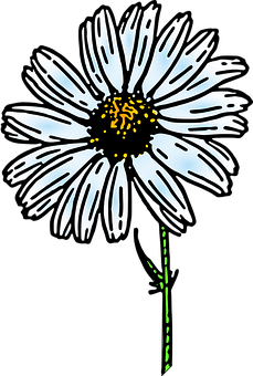 Glowing Daisy Artwork PNG