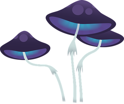 Glowing Fantasy Mushrooms PNG