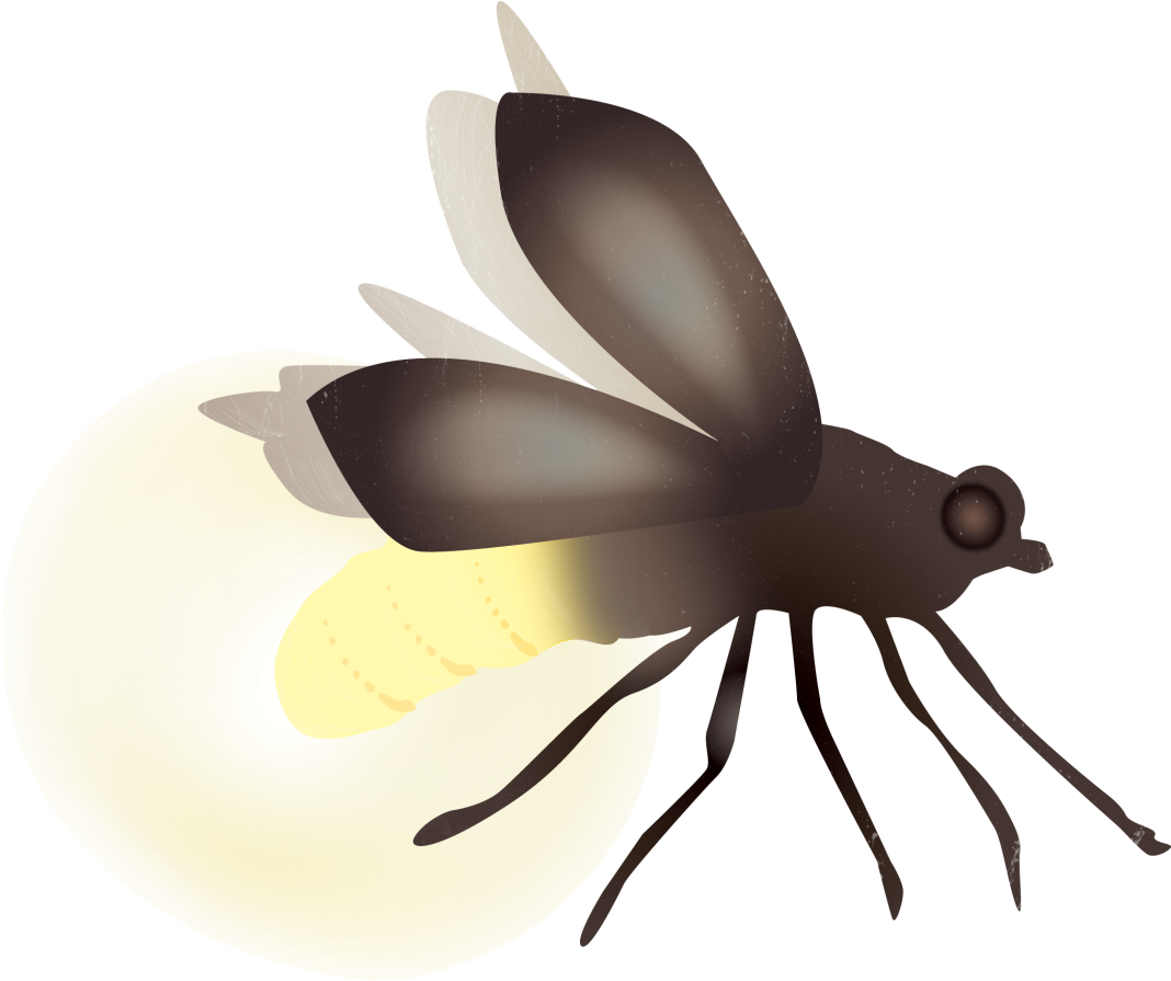 Glowing Firefly Illustration PNG
