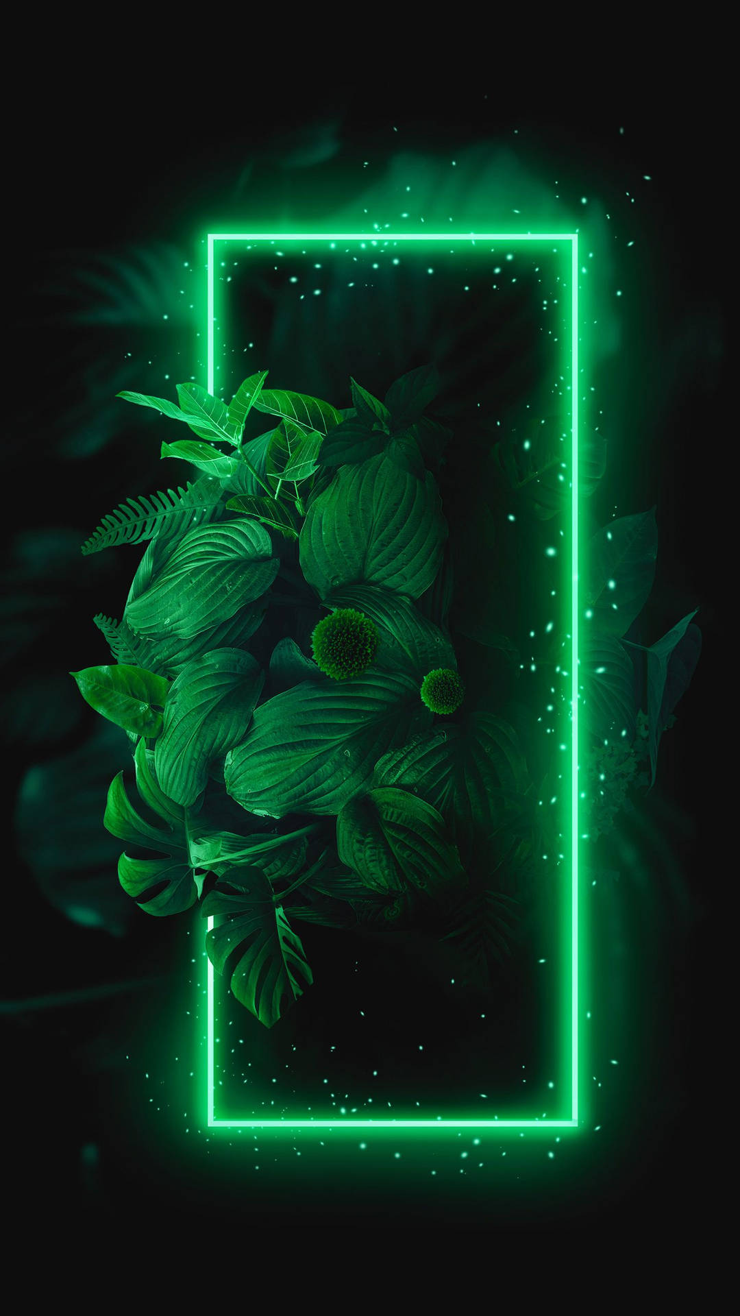 Glowing Frame With Plants Green Iphone Wallpaper