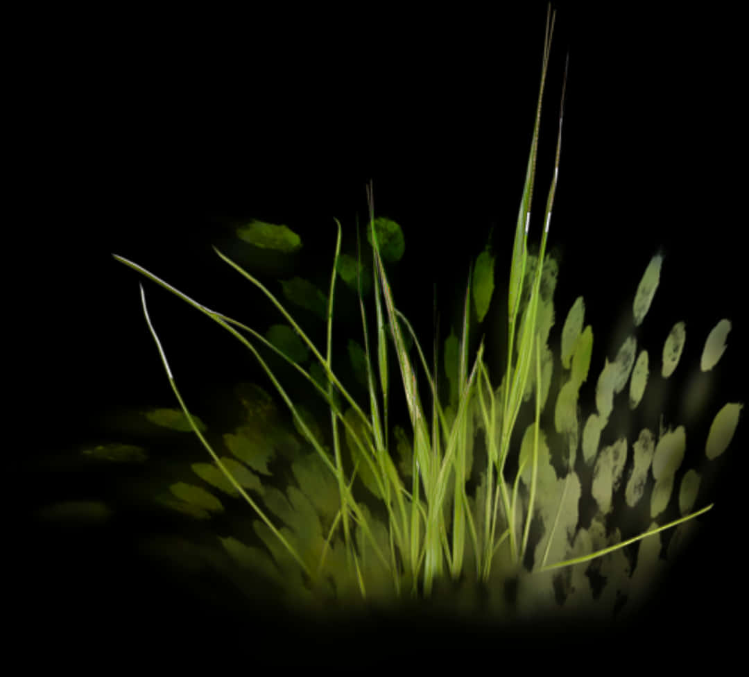 Glowing Grass Abstract PNG