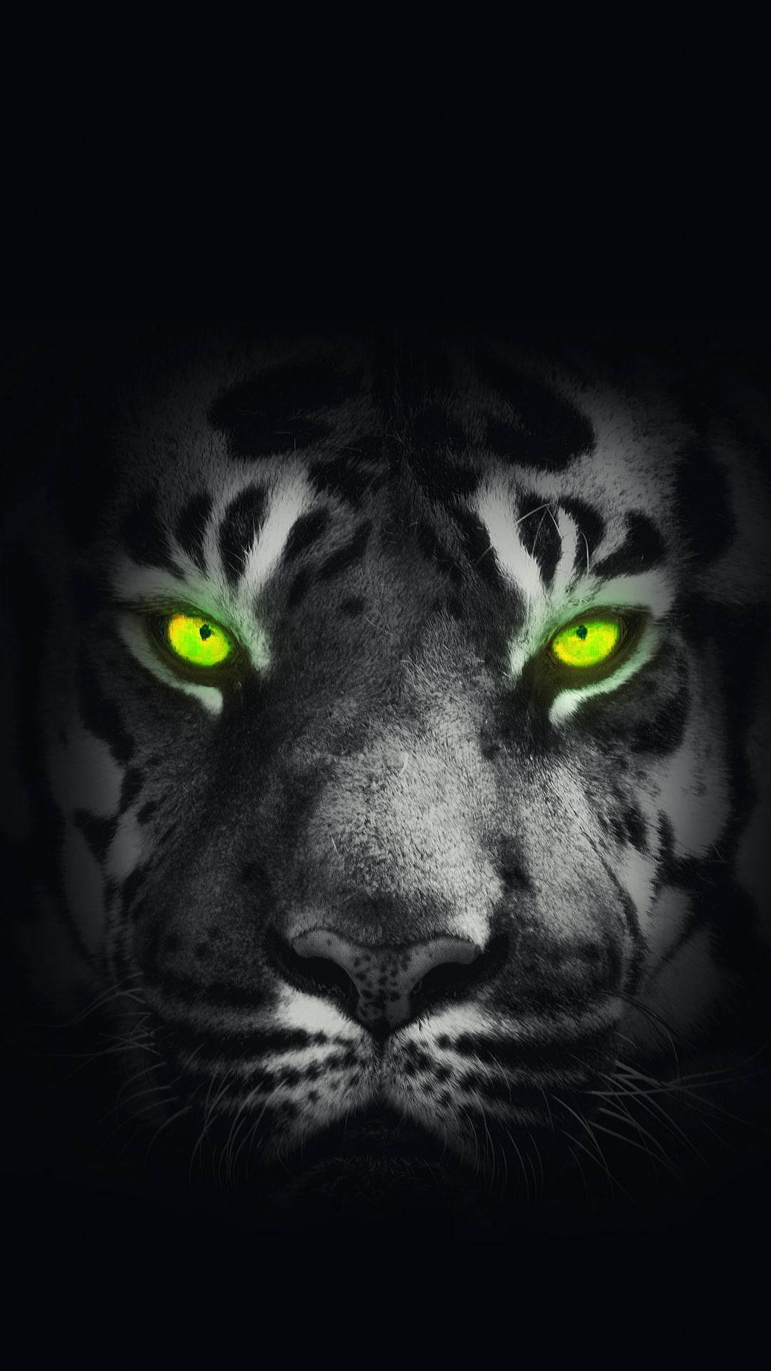 Glowing Green Eyes Of Black Tiger Wallpaper