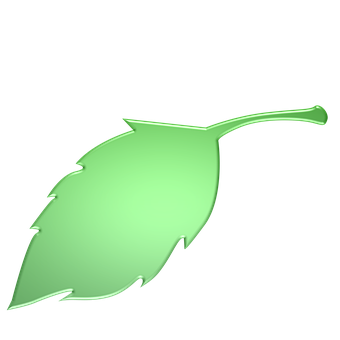 Glowing Green Leaf Graphic PNG