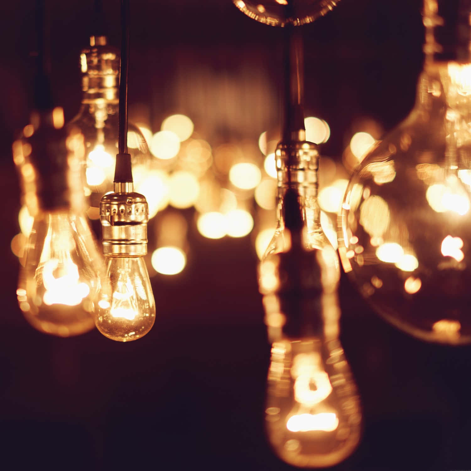 Download Glowing Incandescent Light Bulbs Wallpaper | Wallpapers.com