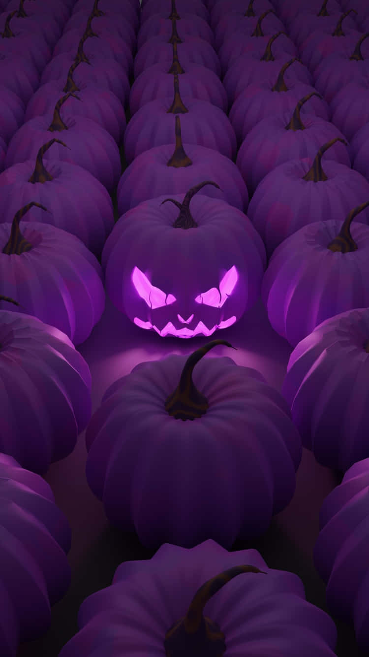 Glowing Jack O Lantern Among Purple Pumpkins Wallpaper