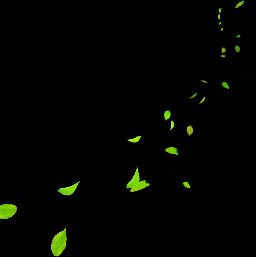 Glowing Leavesin Darkness PNG