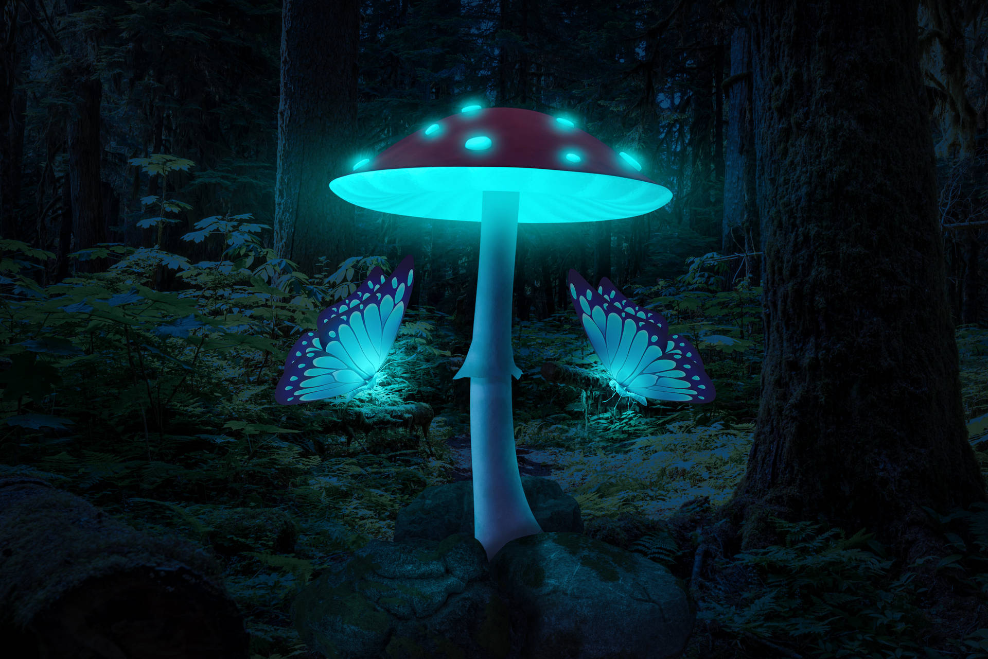 Glowing Mushroom And Night Butterfly Wallpaper