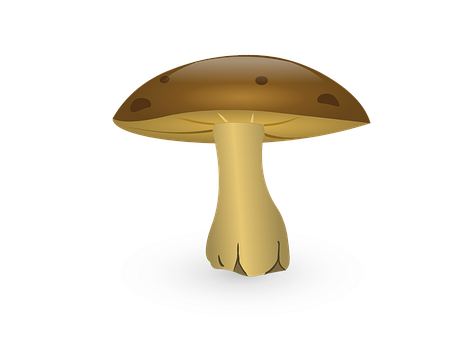 Glowing Mushroom Illustration PNG