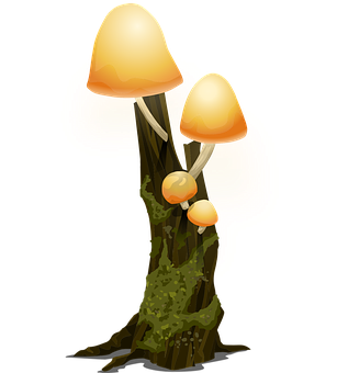 Glowing Mushroomson Tree Trunk PNG