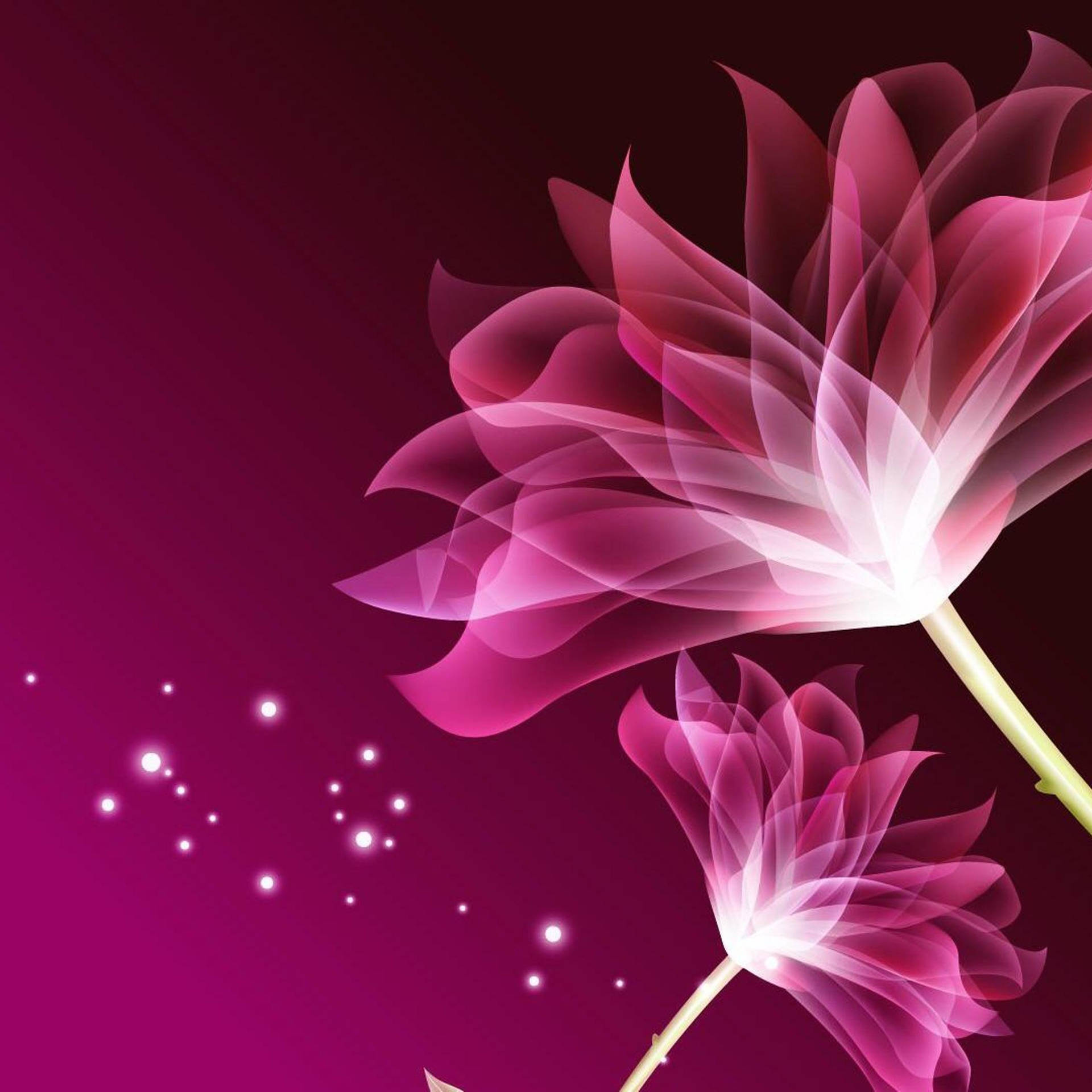 Download Glowing Pink Flower Design Wallpaper | Wallpapers.com